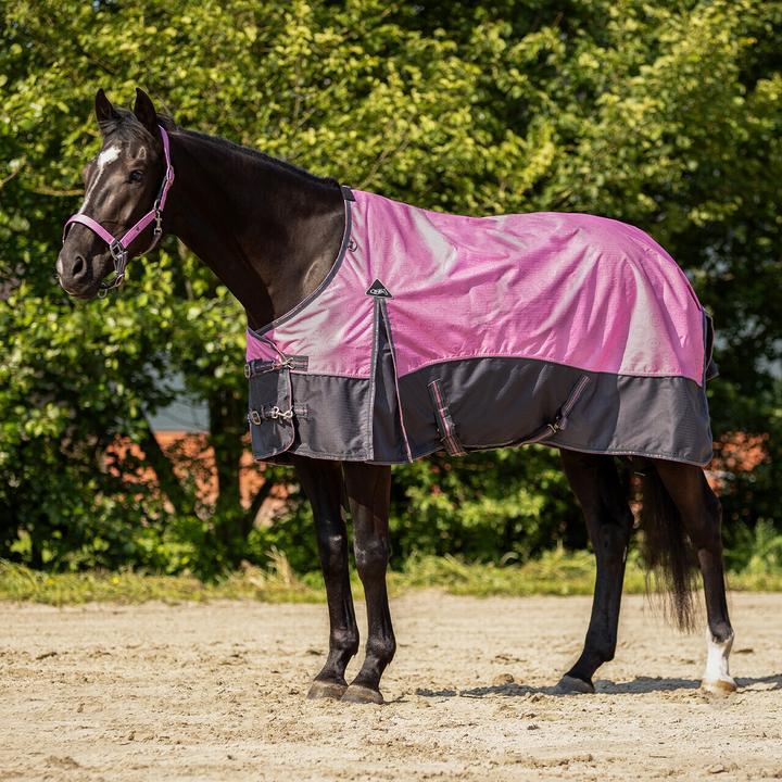 Immagine prodotto Qhp Coperta da paddock per cavalli (145 cm)
