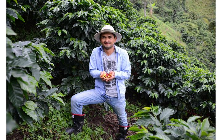 Produktbild Vicafe Los Nogales Decaf (350 g, Mittlere Röstung)