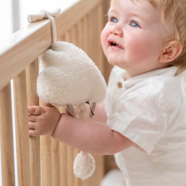 Immagine prodotto Nattou Nuvola di peluche