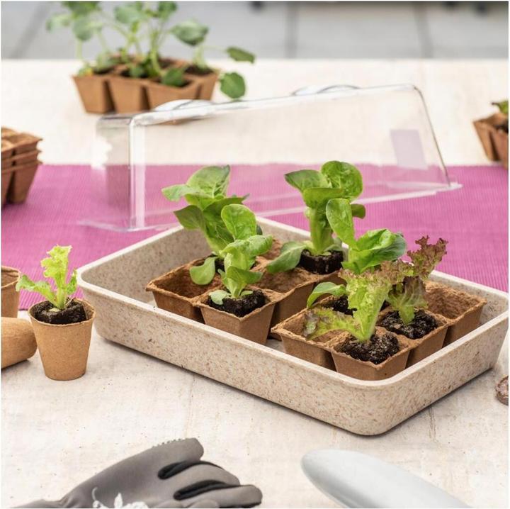 Produktbild Windhager Anzuchtschale
