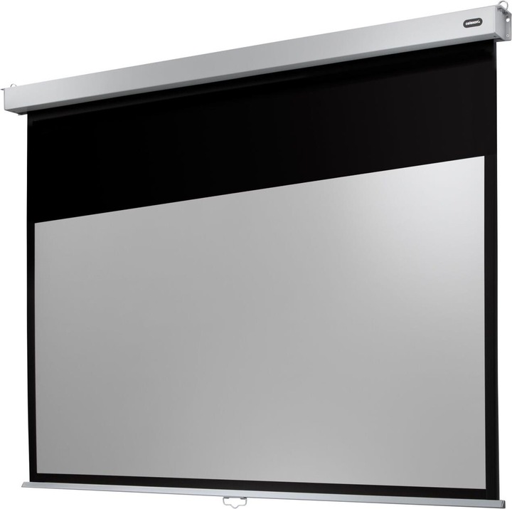 Actual product image Celexon Rollo Professional Plus (99", 16:9)