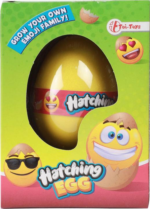 Actual product image Toi-Toys Growthsei Laughing face