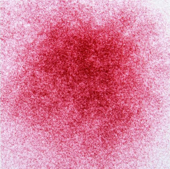 Produktbild Glorex Samtpulver 11 g, Rot