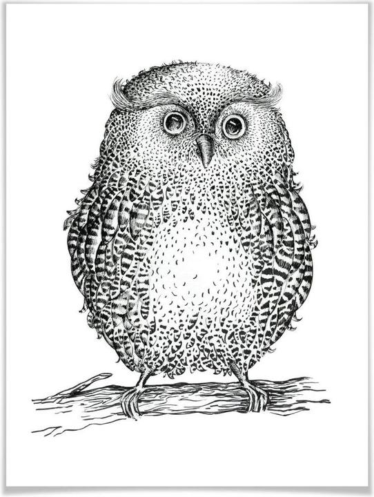 Produktbild Trenddeko Kvilis - Eule 02 (40 x 50 cm)