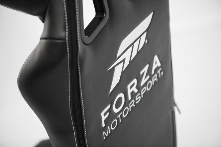 Actual product image Playseat Forza Motorsport