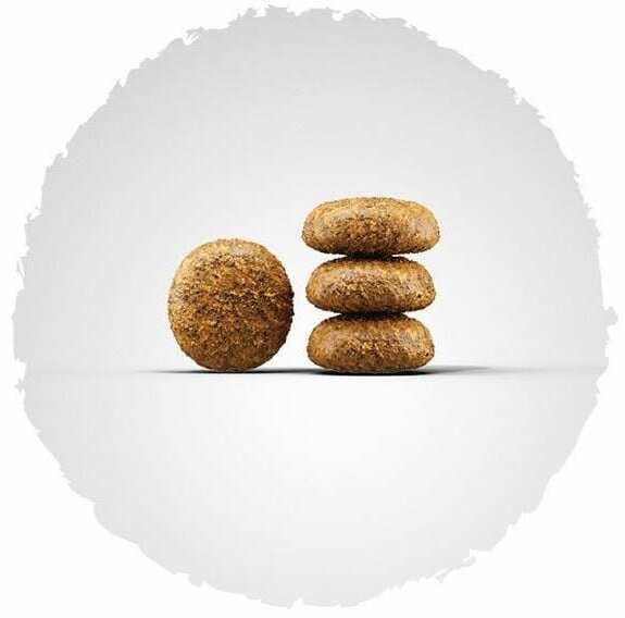 Immagine prodotto Josera Mini Adult Pollo e Riso (Adulto, 1 pz., 10000 g)