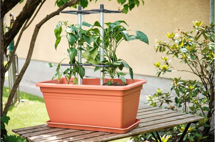 Immagine prodotto Gusta Garden CHILI BUDDY supporto per peperoncini e peperoni, set di 3 pezzi argento (32.20 cm, 22.20 cm)