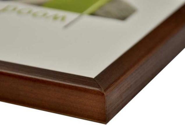 Immagine prodotto Nielsen Zoom