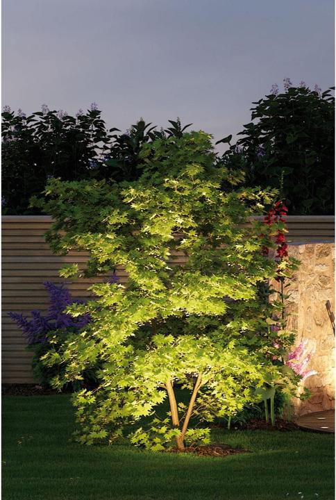 Image du produit Paulmann Plug & Shine Sting (655 lm, IP67)