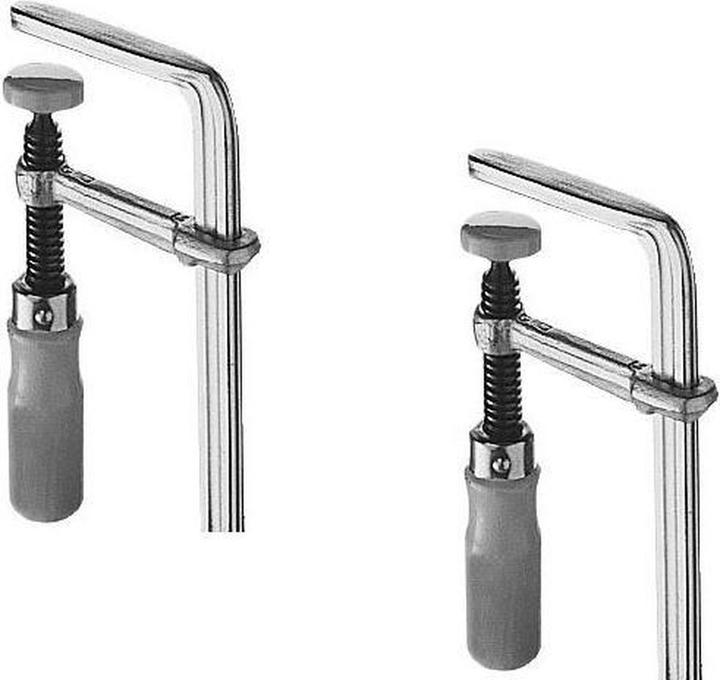 Actual product image Festool Schraubzwinge FSZ 300 (300 mm)