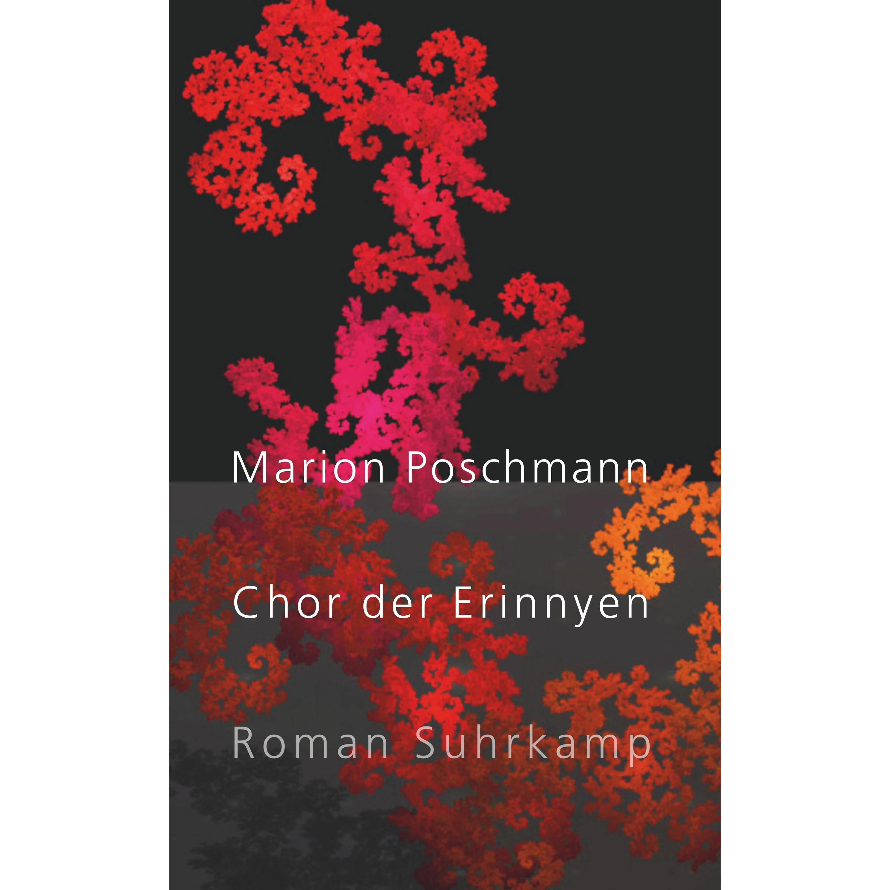 Chor der Erinnyen, Belletristik von Marion Poschmann