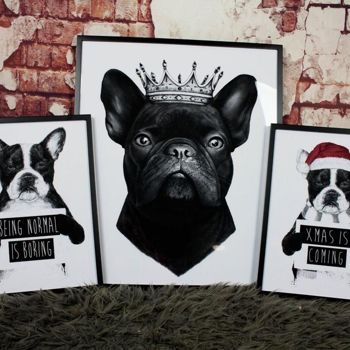 Immagine prodotto Trenddeko Re bulldog francese (24 x 30 cm)