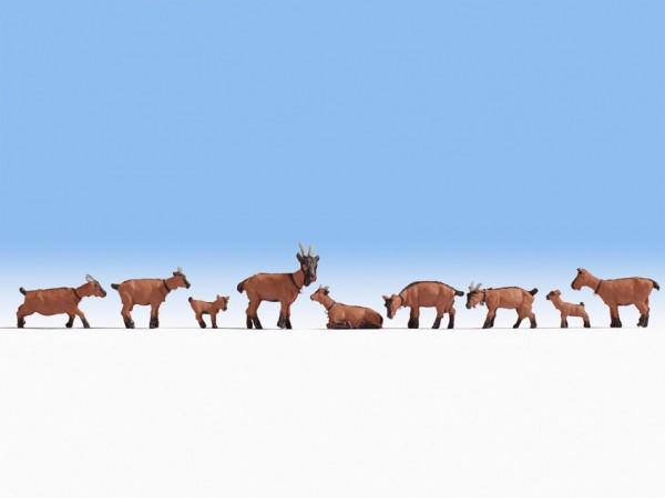 Image du produit Noch 15752 H0 Chiffres chèvres