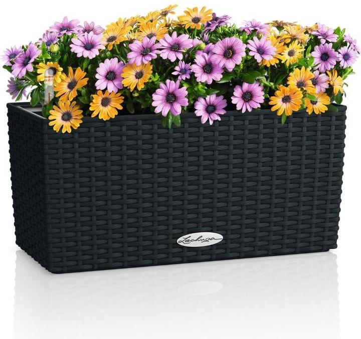 Actual product image Lechuza Balconera Cottage (50 x 19 x 19 cm)