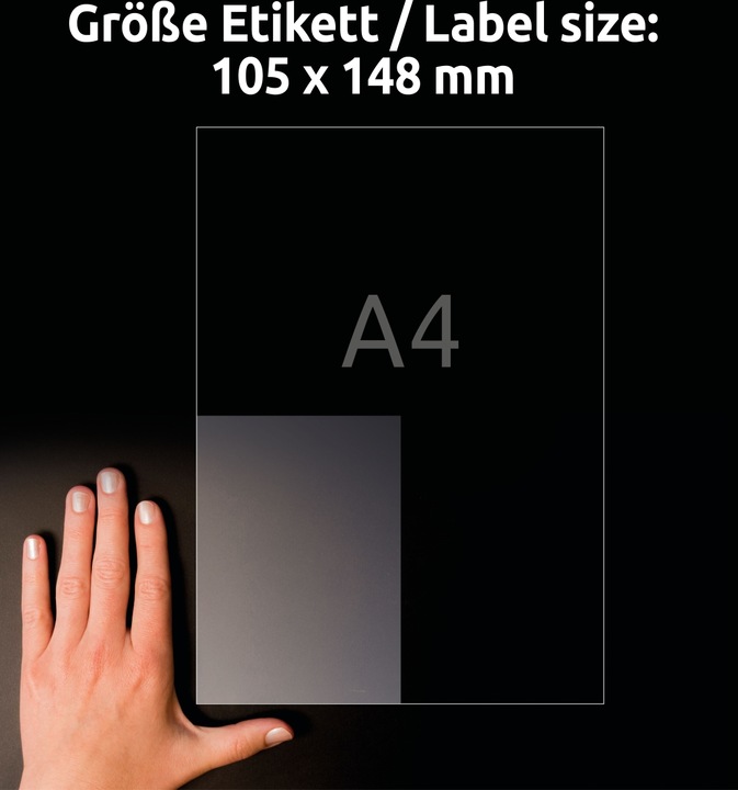 Image du produit Avery AVZ L8013-10 Étiquettes antimicrobiennes 105x148mm transparent