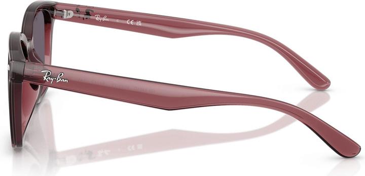 Produktbild Ray Ban RB4461D