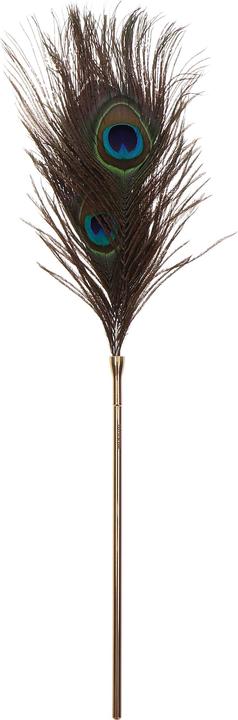 Immagine prodotto Taboom Plumeau à caresses Peacock Tickler -