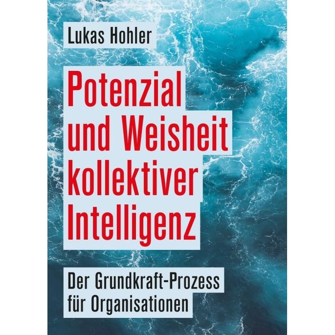 Tredition Potenzial und Weisheit kollektiver Intelligenz (Lukas Hohler, Deutsch), Sonstige Literatur