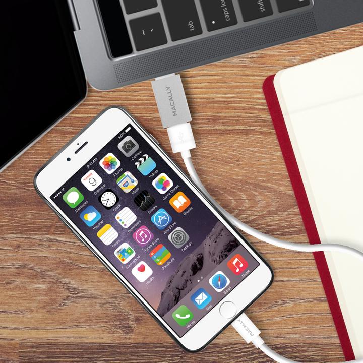 Image du produit Macally 2er Pack USB Typ-C zu (USB-A, 3.10 cm)