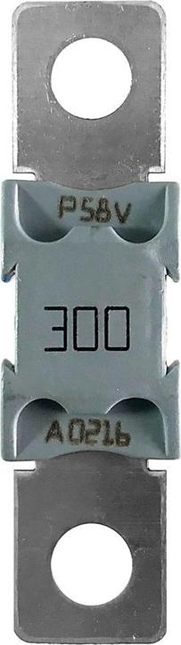 Actual product image Victron Energy MEGA fuse 300A/80V
