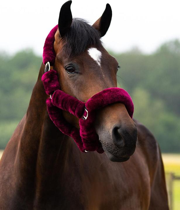 Produktbild Qhp Alaska