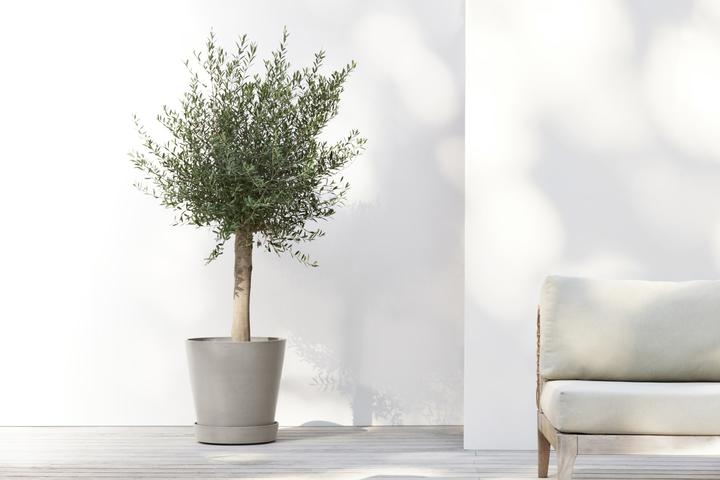 Produktbild Ecopots Saucer on Wheels