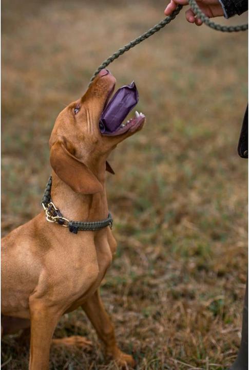 Produktbild Escapure Hupferl Hundesnacks mit Lamm (Adult, 1 Stk., 150 g)