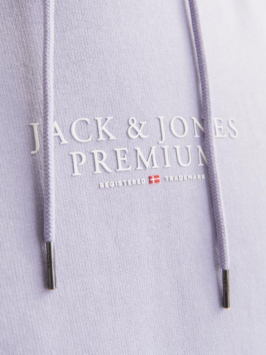 Produktbild Jack & Jones Logo Kapuzenpullover Kapuzenpullover (S)