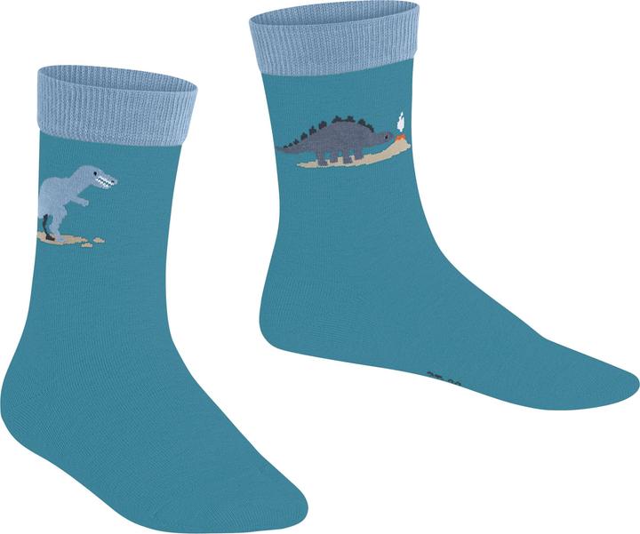 Actual product image Falke Dinosaurs Baumwollsocken (Single pack, 19 - 22)
