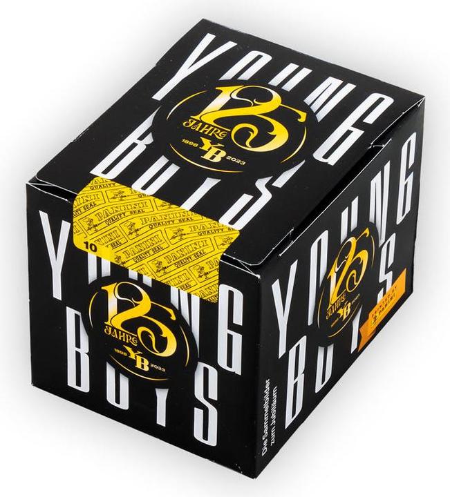 Image du produit BSC Young Boys Boîte d'autocollants YB Panini (252 pièces)