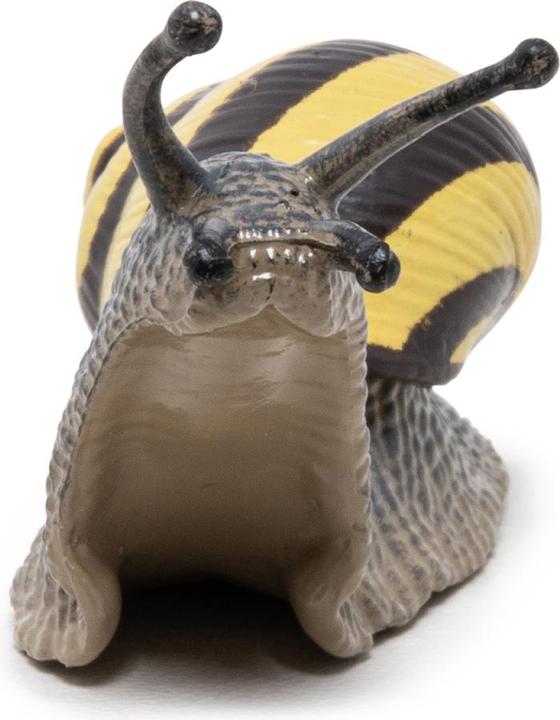 Actual product image Papo Wood snail