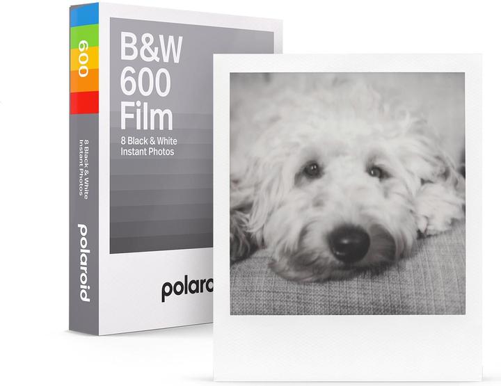 Actual product image Polaroid Film 600 Colour (Polaroid 600)