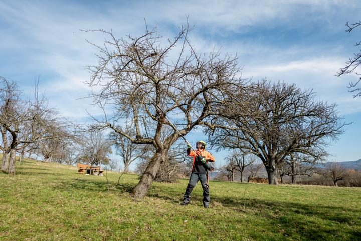 Productafbeelding Metabo MA-MS 25 (Accu kettingzaag)