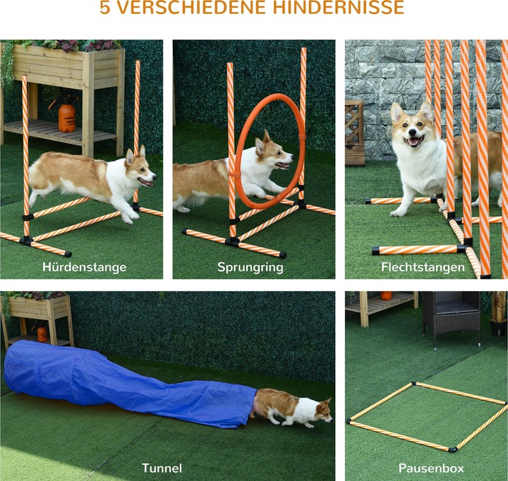 Immagine prodotto PawHut Set (Destrezza)