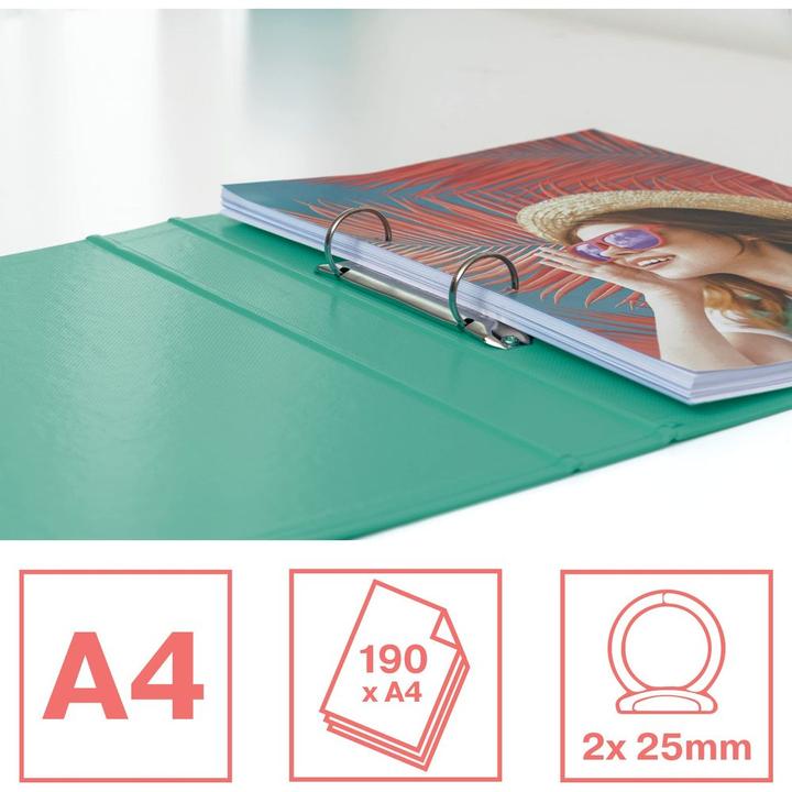 Actual product image Esselte Colour'Ice (A4, 25 mm, 1 pcs.)