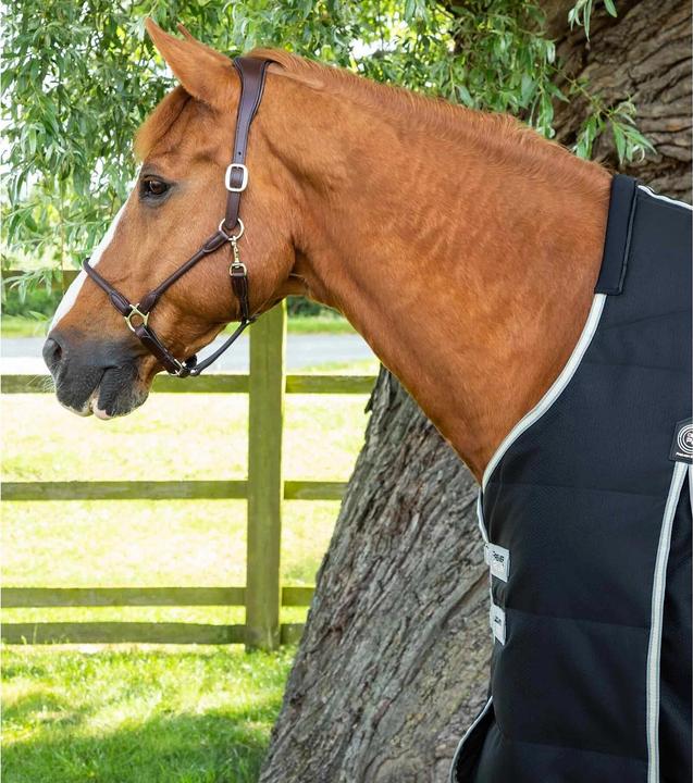 Produktbild Premier Equine Lucanta 100 g (160 cm)