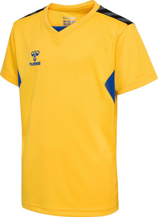 Sportyellowtrueblue