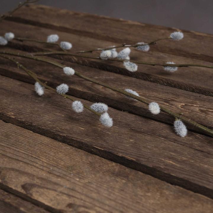 Actual product image Hill Interiors Artificial Plant Willow Catkin