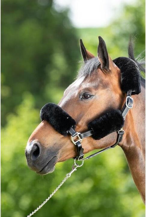 Actual product image HFI Master Sheath for halter