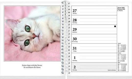 Image du produit Schmusekatzen Fotokalender 2025 (17 x 20 cm)