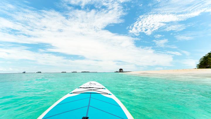 Produktbild Mint Lama Black Lama Origin (10')