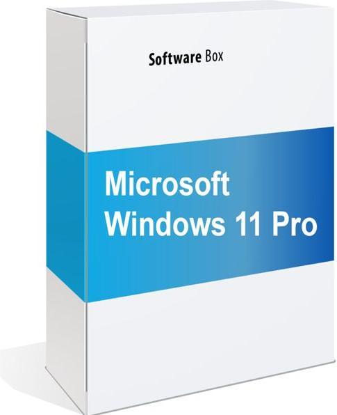Actual product image Microsoft Windows 11 Pro (DE) (1 User, unlimited)