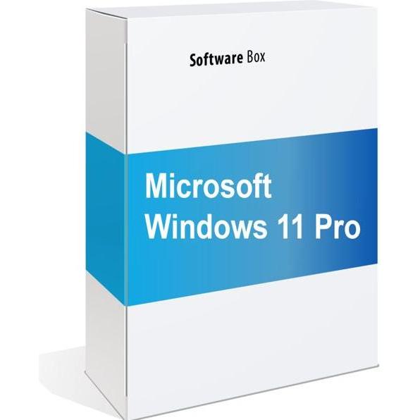 Microsoft Windows 11 Pro (DE) - buy at Digitec