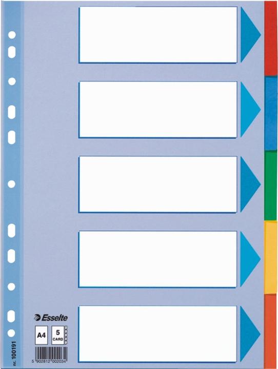 Esselte Register cardboard