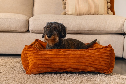 Actual product image Designed by Lotte Ribbed (Dog)