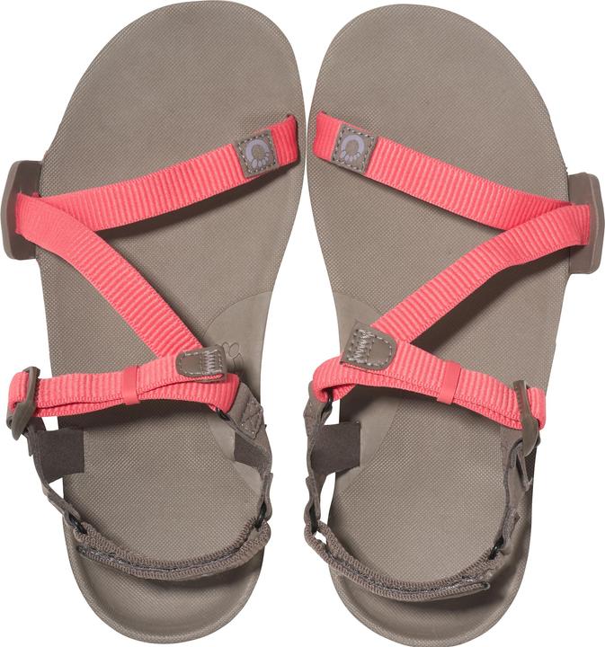 Actual product image Xero Shoes Z-Trail EV (38.5)
