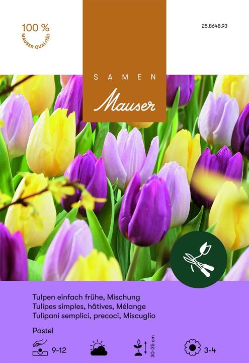 Image du produit Samen Mauser Mélange de tulipes Pastel (Plante bulbeuse)