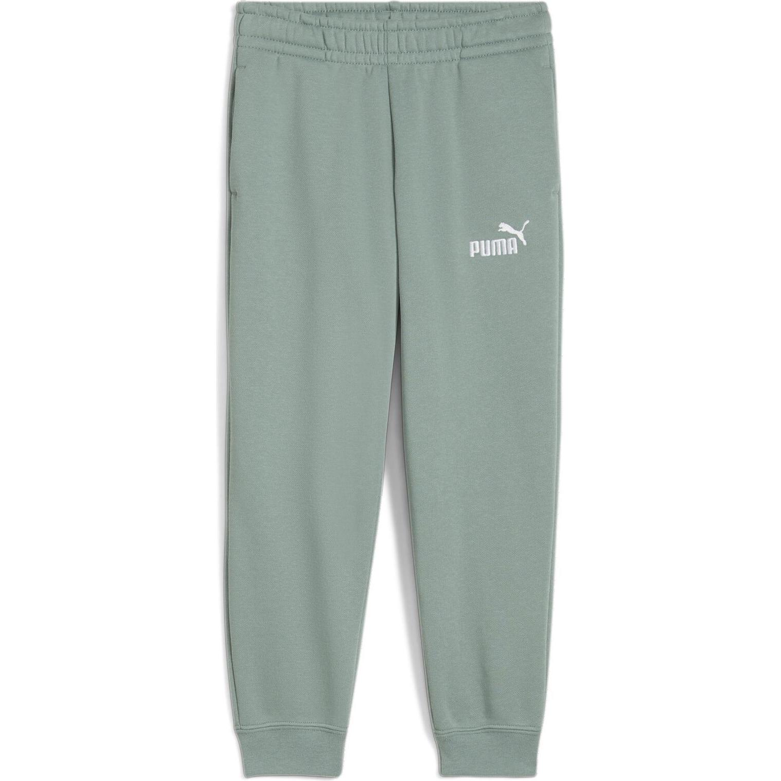 Puma, Herren, Sporthose, ESS No. 1 Logo Sweatpants FL PS (104), Grün, 104