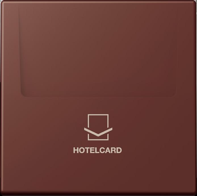 Image du produit JUNG Guichet Hotelcard (Carte clé)