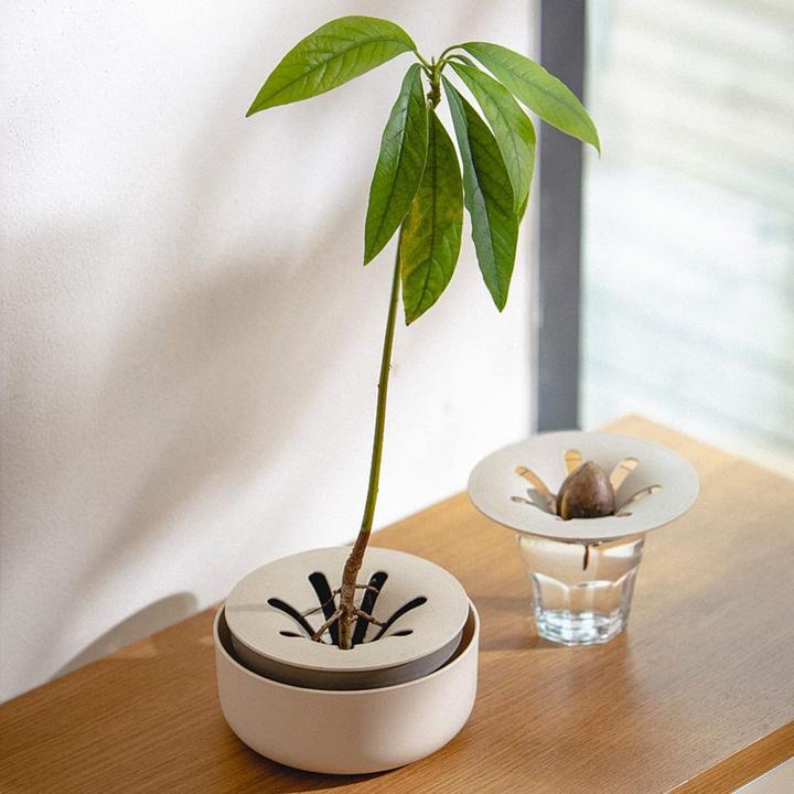 Actual product image Plastia Urbalive hydroponic tray (16 x 7.70 cm)